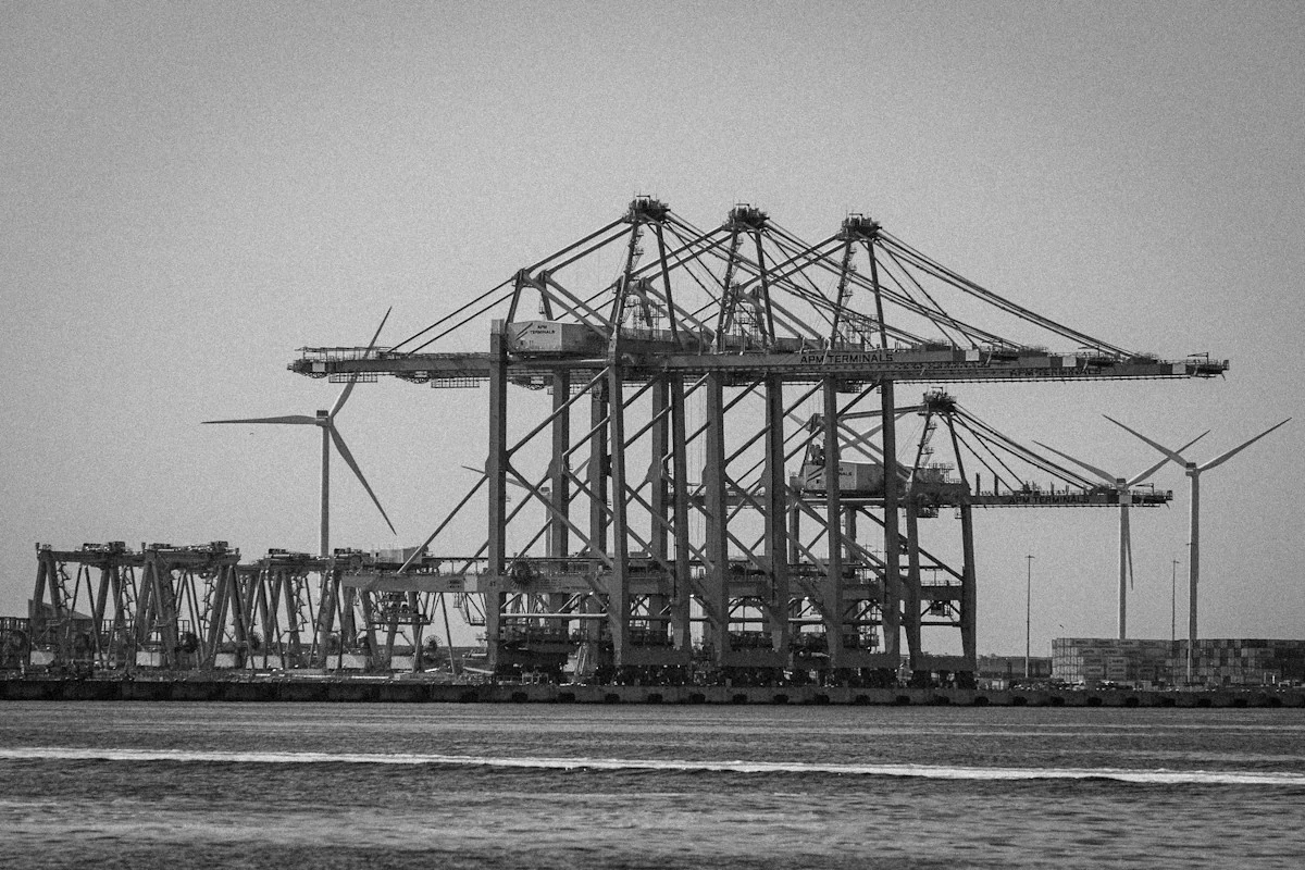 Port panorama with container gantry cranes